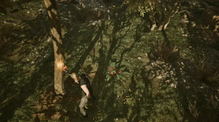 Wild berries