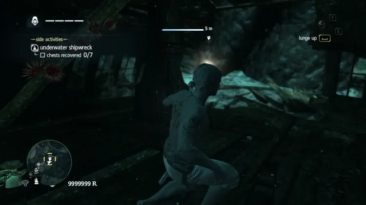 Animus Fragment