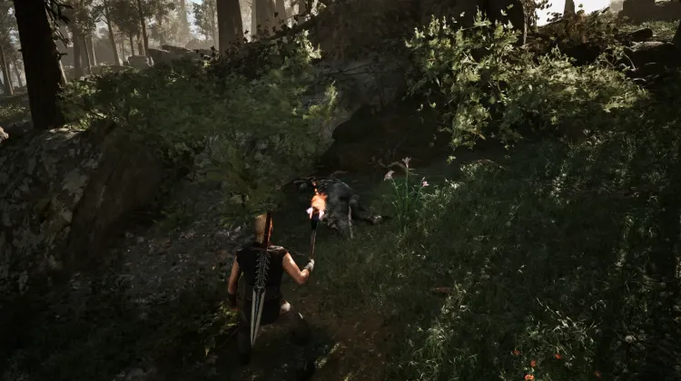 Darkshade