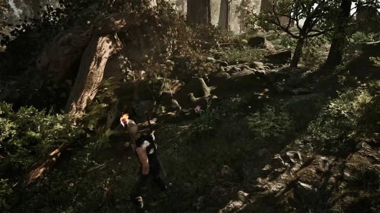 Darkshade