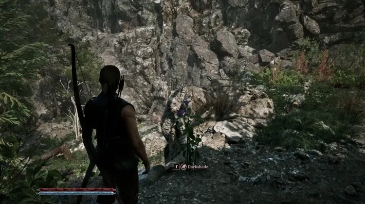 Darkshade
