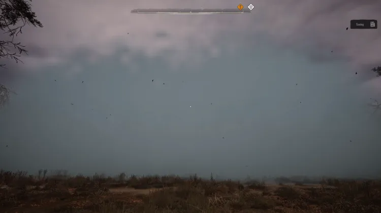Mist