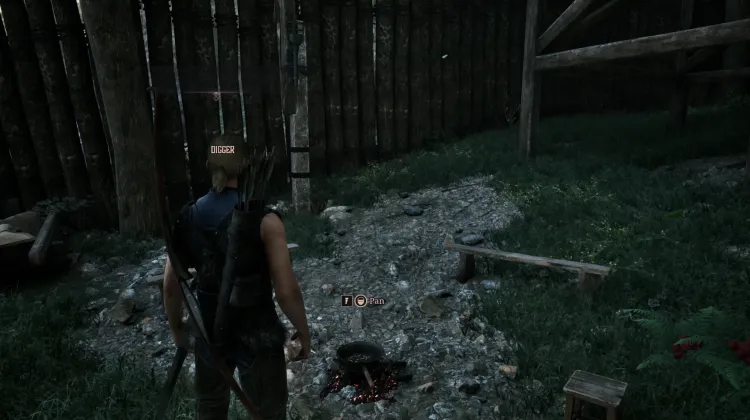Cooking Pan