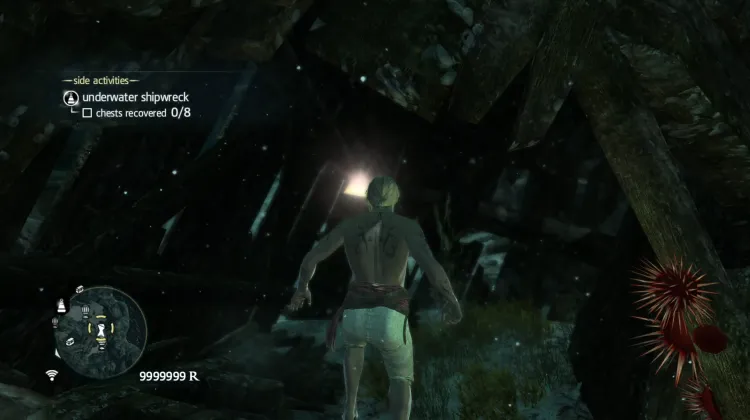 Animus Fragment