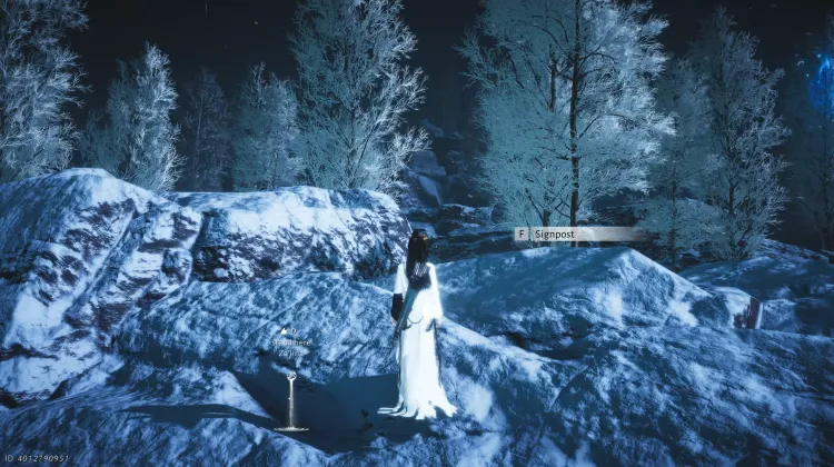 Overlapping Moonlight Shadows