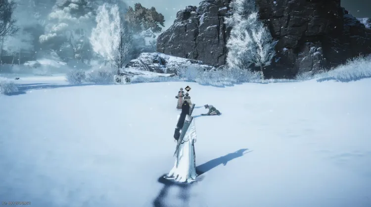 Snowball Showdown