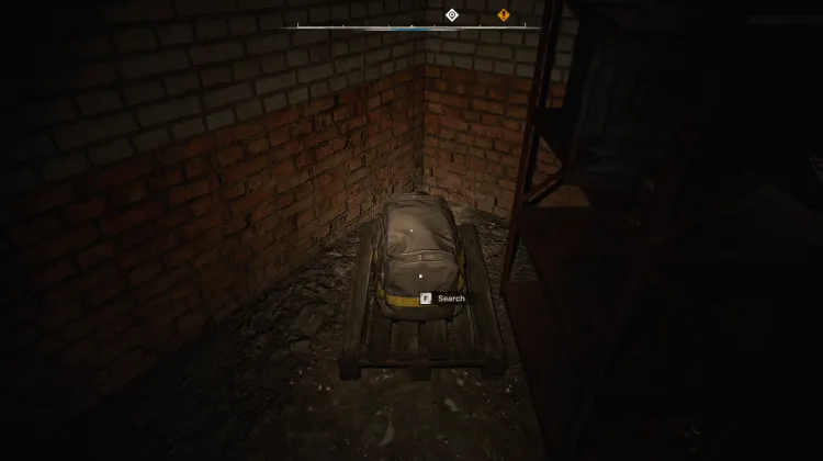 Bag
