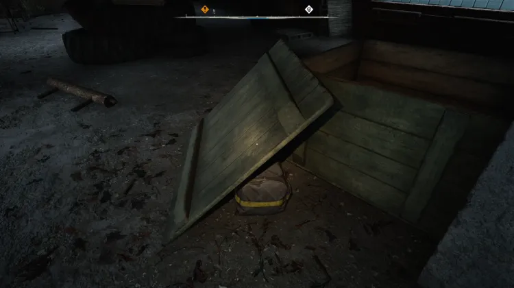 Bag
