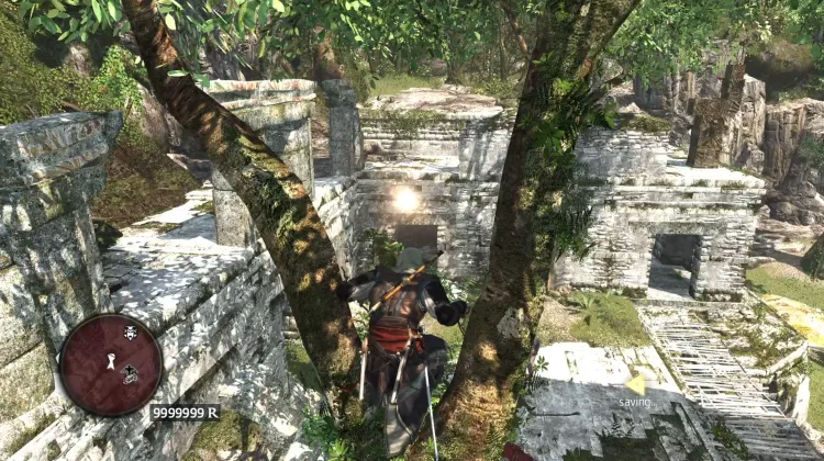 Animus Fragment