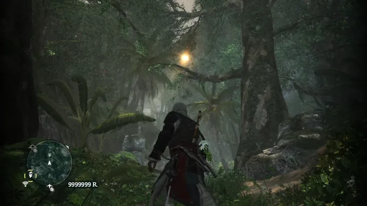 Animus Fragment