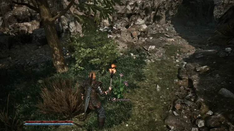 Darkshade