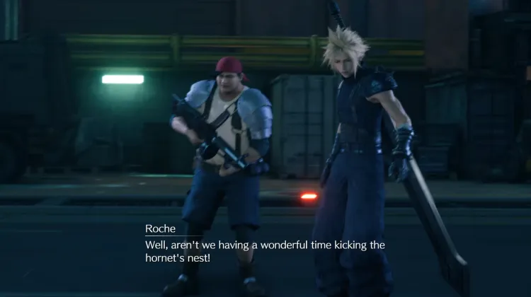 Roche