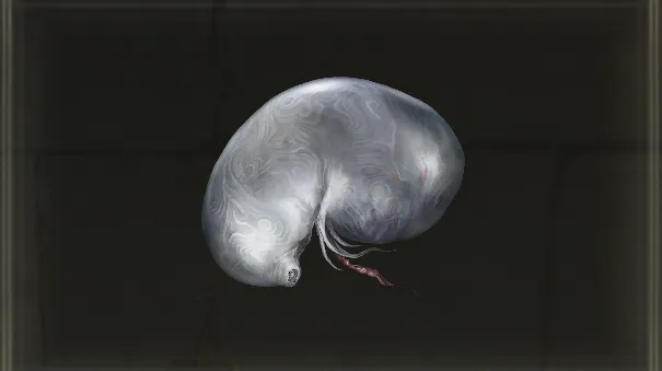 Larval Tear