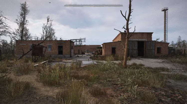 WSD Base