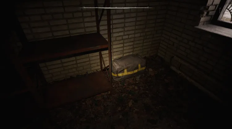 Bag