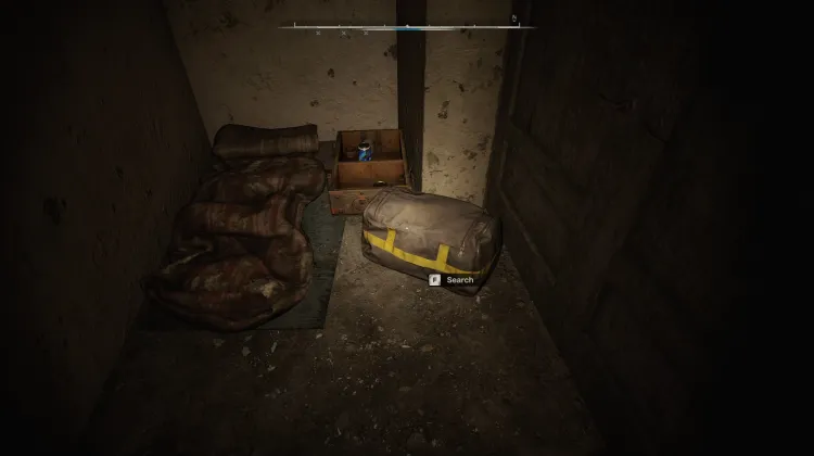 Bag