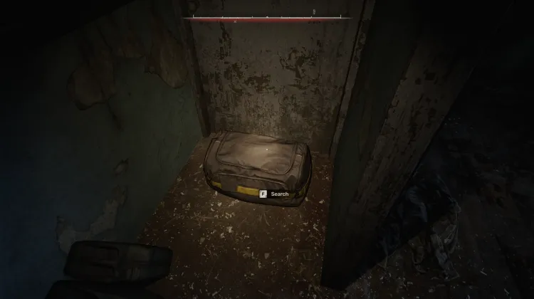 Bag