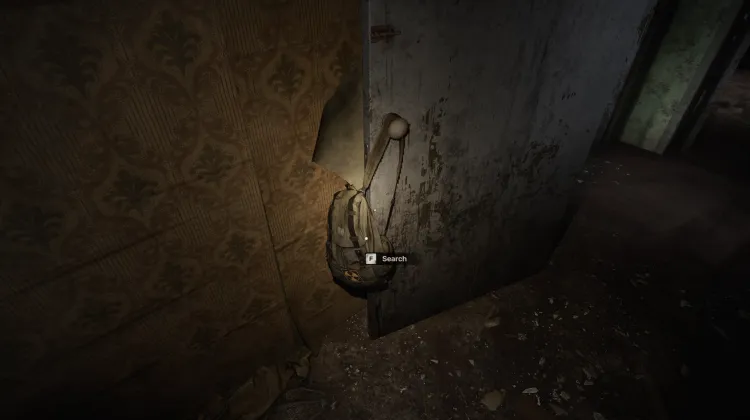 Bag