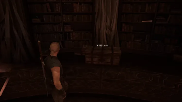 Chest