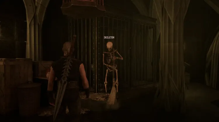 Skeleton