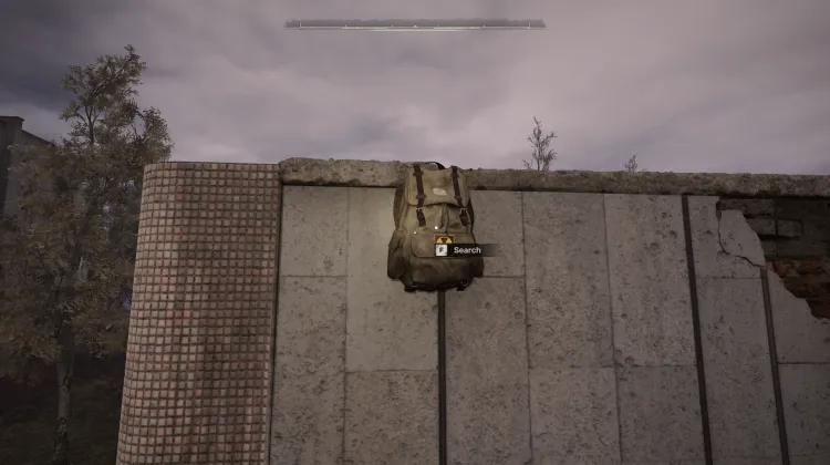 Bag