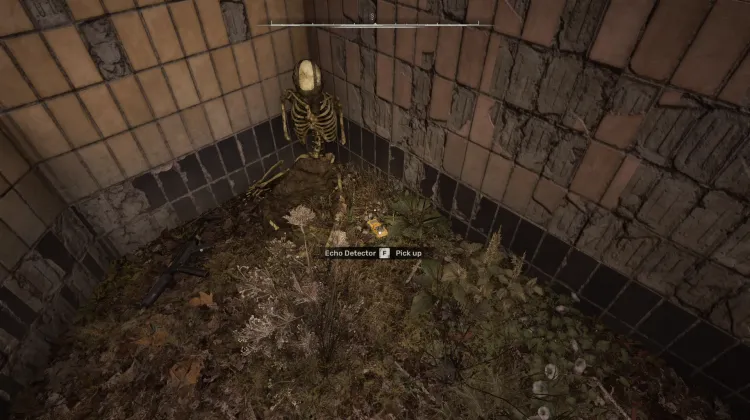 Echo Detector