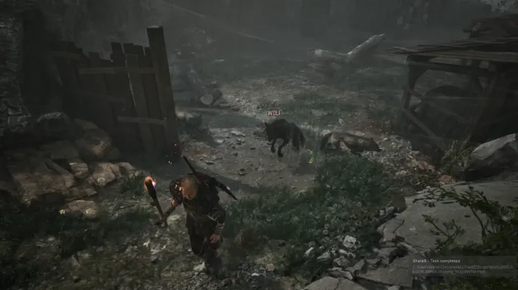 Wolf