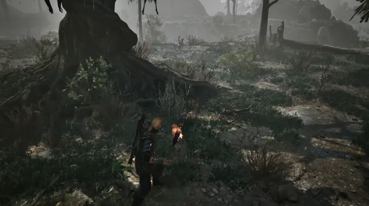 Darkshade