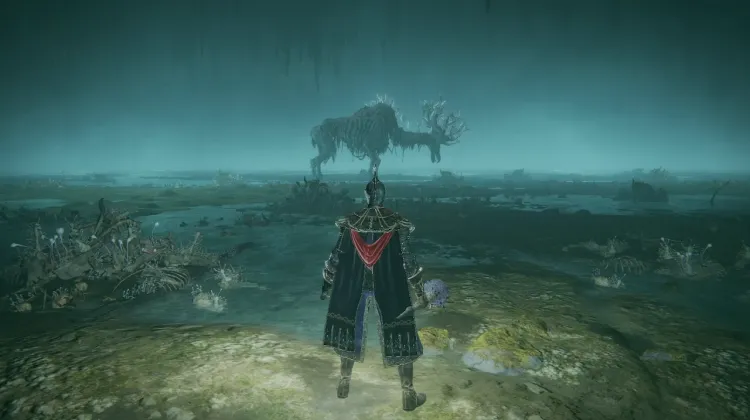 Ancestor Spirit