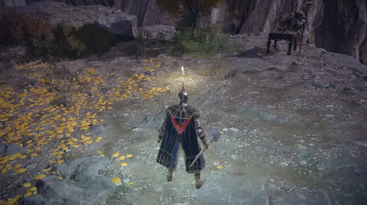 Deeproot Depths