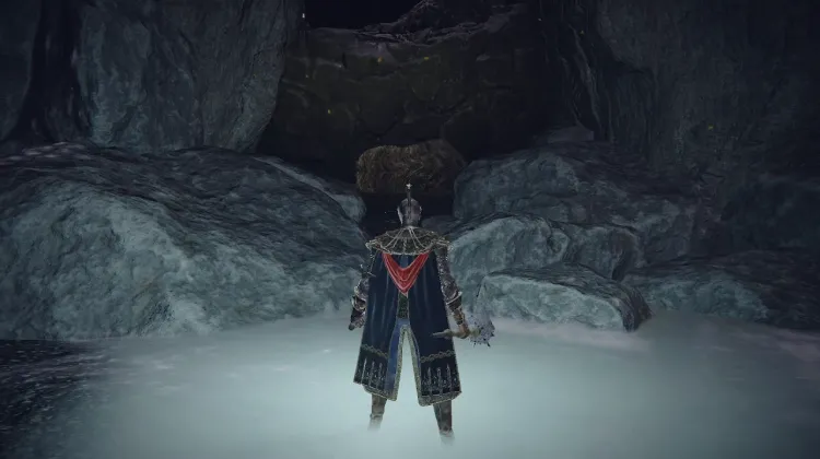 Lesser Runebear