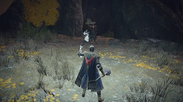 Crucible Knight Siluria