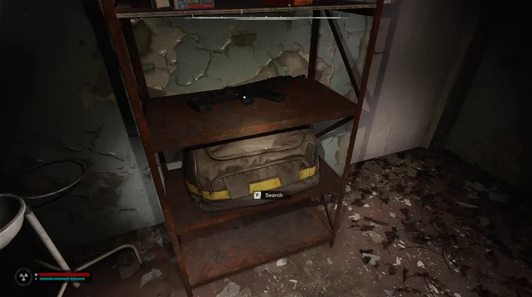 Bag