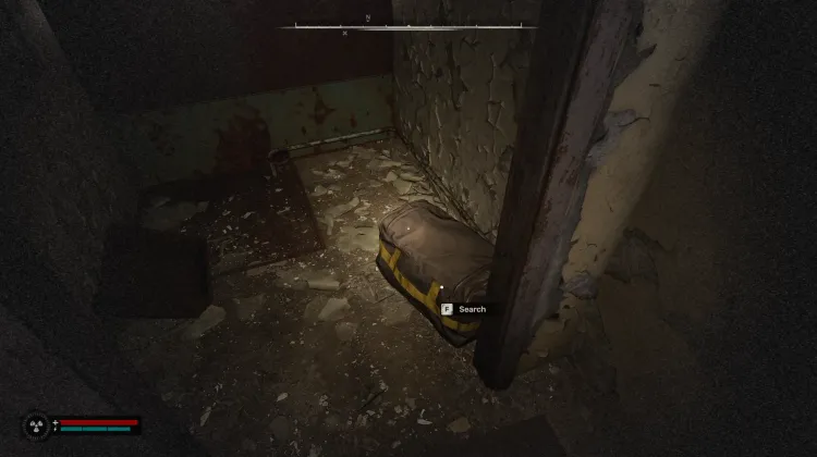 Bag