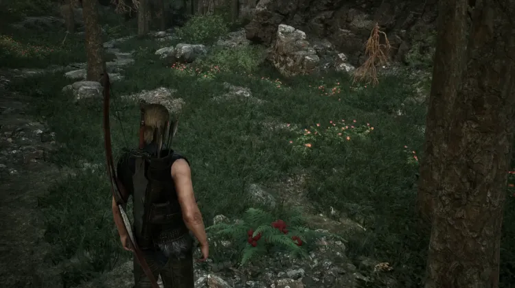 Darkshade
