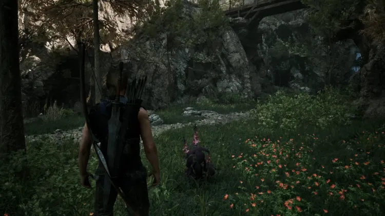 Dark Herbs