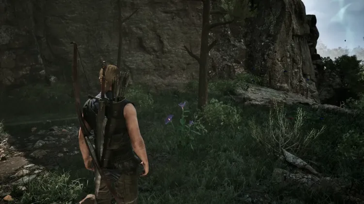 Darkshade