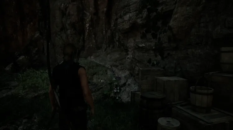Darkshade