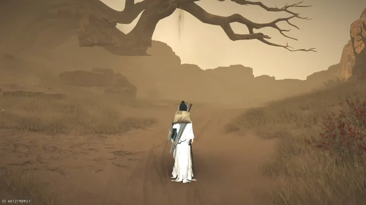 Passing Mirage