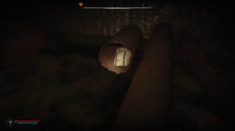 Bag