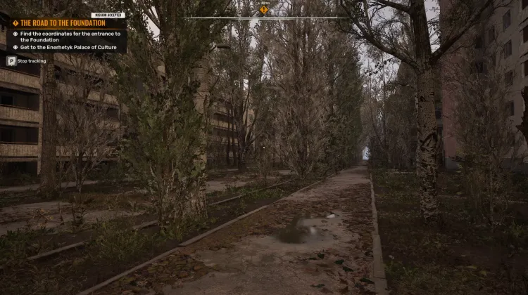 The Road to the Foundation
