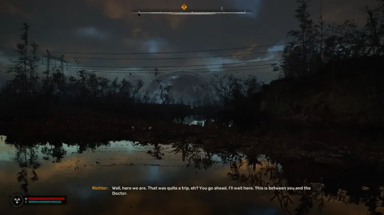 The Last Wish