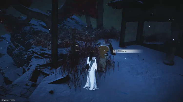 Treasure's Trace Vanished