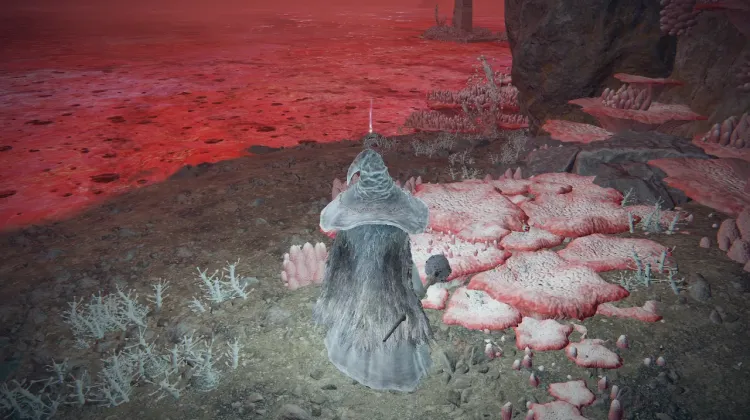 Lake of Rot