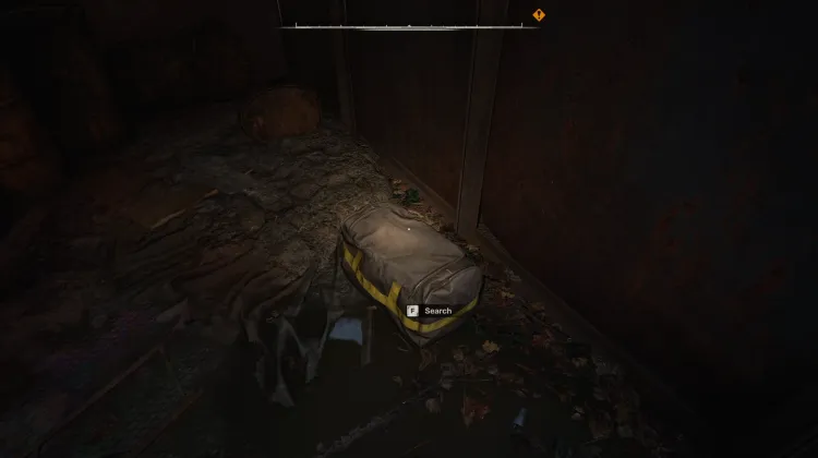 Bag