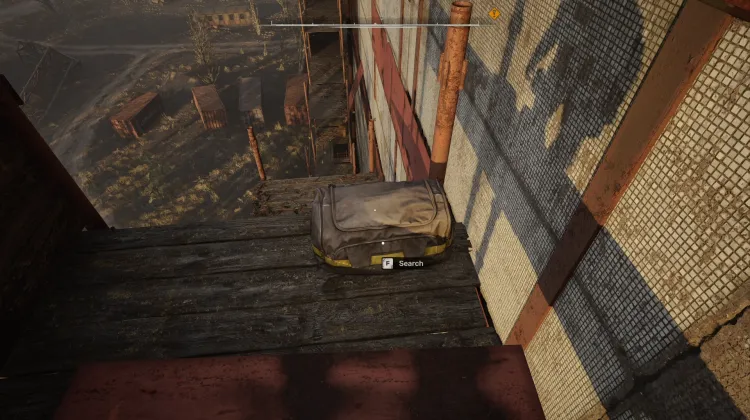 Bag