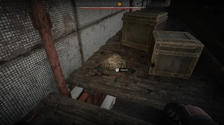Bag