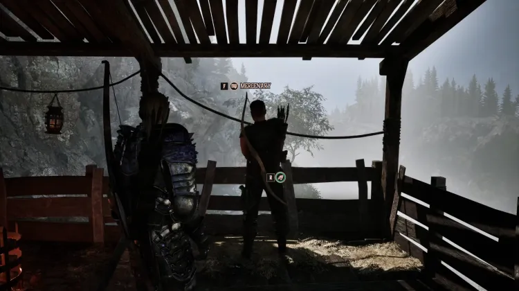 Mercenary