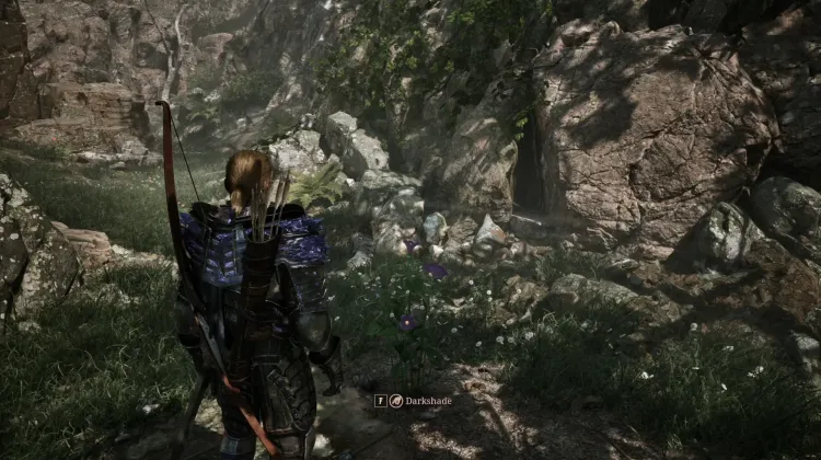 Darkshade