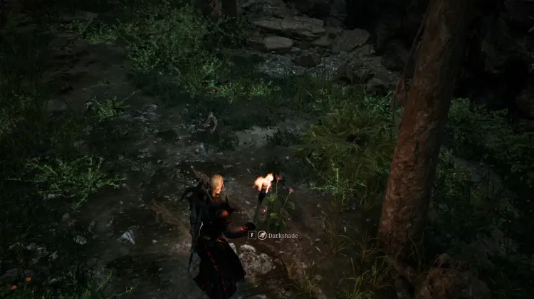 Darkshade